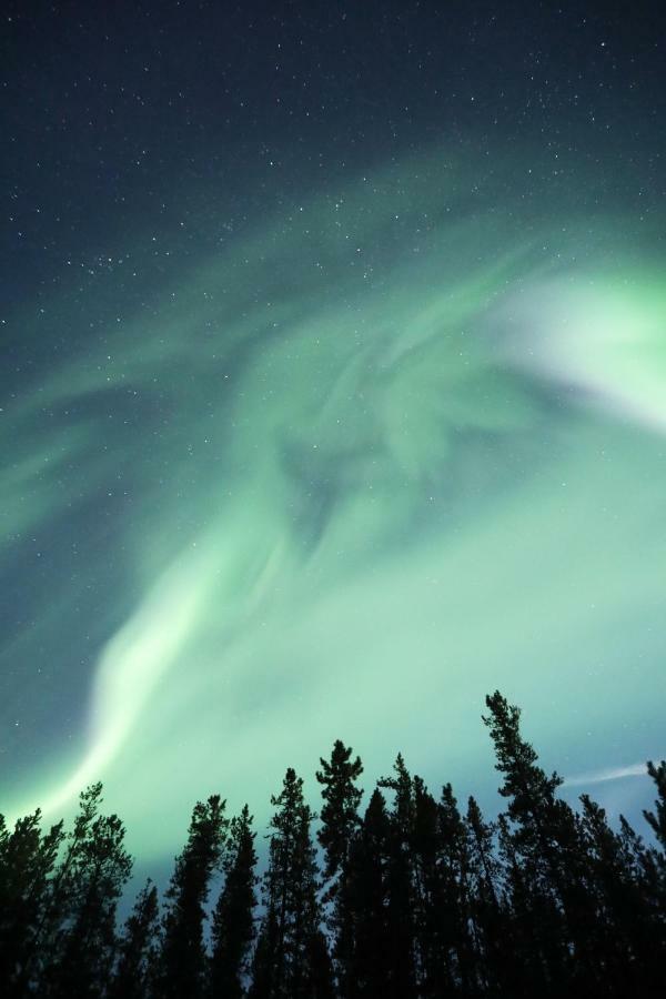 Kaleido Lodge Yukon Whitehorse Buitenkant foto